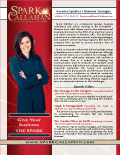 Spark Callahan "The Spark" Bio